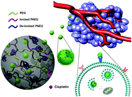 Graphical abstract: Injectable hydrogel-incorporated cancer cell-specific cisplatin releasing nanogels for targeted drug delivery