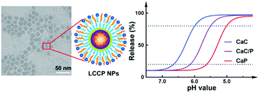 Graphical abstract: Devising new lipid-coated calcium phosphate/carbonate hybrid nanoparticles for controlled release in endosomes for efficient gene delivery