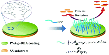 Graphical abstract: A versatile platform to achieve mechanically robust mussel-inspired antifouling coatings via grafting-to approach