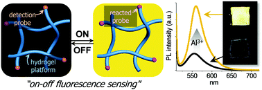 Graphical abstract: Facile fluorescent labeling of a polyacrylamide-based hydrogel film via radical initiation enables selective and reversible detection of Al3+