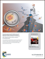 Graphical abstract: Back cover