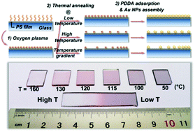 Graphical abstract: Facile fabrication of homogeneous and gradient plasmonic arrays with tunable optical properties via thermally regulated surface charge density