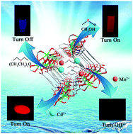 Graphical abstract: Fabricating a super stable luminescent chemosensor with multi-stimuli-response to metal ions and small organic molecules through turn-on and turn-off effects
