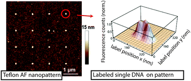 Graphical abstract: Site-selective immobilization of functionalized DNA origami on nanopatterned Teflon AF