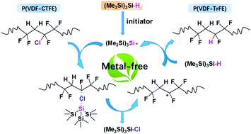 Graphical abstract: Synthesis of poly(vinylidene fluoride–trifluoroethylene) via a controlled silyl radical reduction of poly(vinylidene fluoride–chlorotrifluoroethylene)