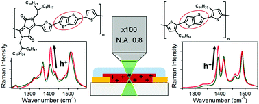 Graphical abstract: Raman spectroscopy and microscopy of electrochemically and chemically doped high-mobility semiconducting polymers