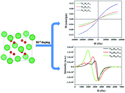Graphical abstract: New thorium–bismuth oxide solid solutions with oxygen vacancy induced tunable ferromagnetism