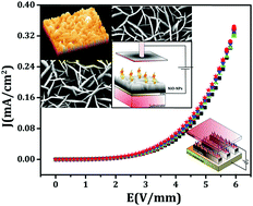 Graphical abstract: Significant field emission enhancement in ultrathin nano-thorn covered NiO nano-petals