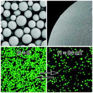 Graphical abstract: A dual-channel optical magnetometer based on magnetically responsive inverse opal microspheres
