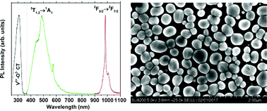 Graphical abstract: Intense NIR emission in YVO4:Yb3+ thin films by atomic layer deposition