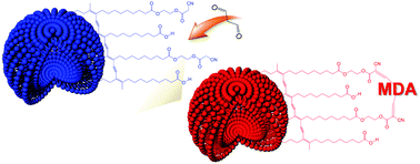 Graphical abstract: A polydiacetylene-based colorimetric chemosensor for malondialdehyde detection: a food spoilage indicator