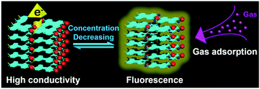 Graphical abstract: Concentration-tailored self-assembly composition and function of the coordinating self-assembly of perylenetetracarboxylate