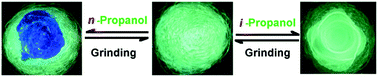 Graphical abstract: Tetraphenylethylene tetracylhydrazine macrocycle with capability for discrimination of n-propanol from i-propanol and highly sensitive/selective detection of nitrobenzene