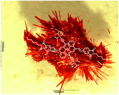 Graphical abstract: Orthogonal 4,10 and 6,12 substitution of dibenzo[def,mno]chrysene polycyclic aromatic small molecules