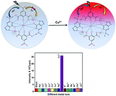 Graphical abstract: Eu(iii)-coordination polymer sub-micron fibers: material for selective and sensitive detection of Cu2+ ions via competition between photoinduced electron transfer and energy transfer