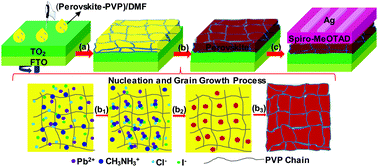 Graphical abstract: Amorphous polymer with C [[double bond, length as m-dash]] O to improve the performance of perovskite solar cells