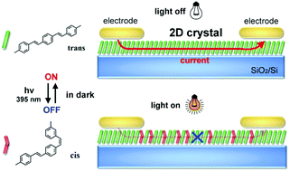 Graphical abstract: Photo-switchable field-effect transistors based on two-dimensional stilbene oligomer crystals