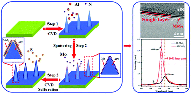 Graphical abstract: Improved light emission of MoS2 monolayers by constructing AlN/MoS2 core–shell nanowires