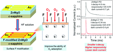 Graphical abstract: Performance enhancement of a ZnMgO film UV photodetector by HF solution treatment