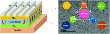 Graphical abstract: Ternary organic solar cells: compatibility controls for morphology evolution of active layers