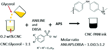 Graphical abstract: Conducting ink based on cellulose nanocrystals and polyaniline for flexographical printing