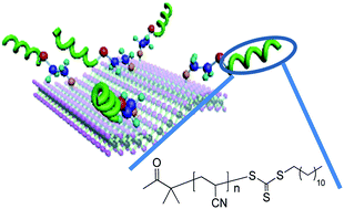 Graphical abstract: MoS2 nanosheets covalently functionalized with polyacrylonitrile: synthesis and broadband laser protection performance