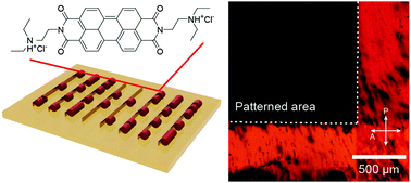 Graphical abstract: Fabrication of a high-performance thin film polarizer using lyotropic chromonic liquid crystals using a high-resolution nanoscale template
