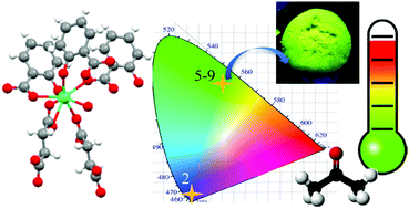 Graphical abstract: Sensing properties, energy transfer mechanism and tuneable particle size processing of luminescent two-dimensional rare earth coordination networks