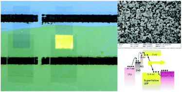 Graphical abstract: ITO-free, inkjet-printed transparent organic light-emitting diodes with a single inkjet-printed Al:ZnO:PEI interlayer for sensing applications