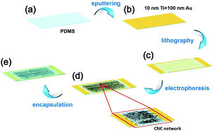 Graphical abstract: A highly sensitive and wide-range pressure sensor based on a carbon nanocoil network fabricated by an electrophoretic method