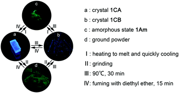 Graphical abstract: Construction of a tetraphenylethene derivative exhibiting high contrast and multicolored emission switching