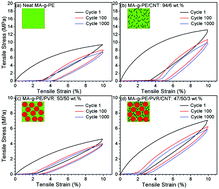 Graphical abstract: Highly stretchable conductive thermoplastic vulcanizate/carbon nanotube nanocomposites with segregated structure, low percolation threshold and improved cyclic electromechanical performance