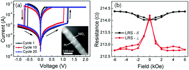 Graphical abstract: Electric field induced simultaneous change of transport and magnetic properties in multilayered NiOx/Pt nanowires