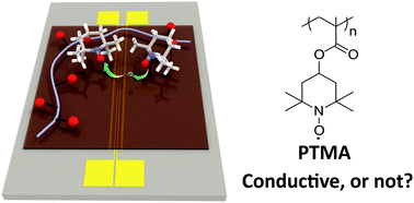 Graphical abstract: Impact of the synthesis method on the solid-state charge transport of radical polymers