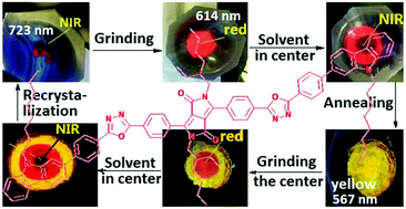 Graphical abstract: Synthesis and remarkable mechano- and thermo-hypsochromic luminescence of a new type of DPP-based derivative