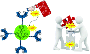 Graphical abstract: Thermally activated delayed fluorescence dendrimers with exciplex-forming dendrons for low-voltage-driving and power-efficient solution-processed OLEDs