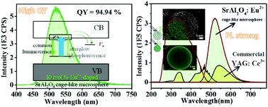 Graphical abstract: Facile synthesis of monodisperse SrAl2O4:Eu2+ cage-like microspheres with an excellent luminescence quantum yield