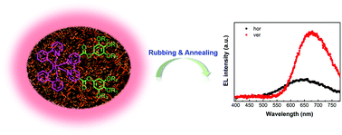 Graphical abstract: Linearly polarized electroluminescence from ionic iridium complex-based metallomesogens: the effect of aliphatic-chain on their photophysical properties