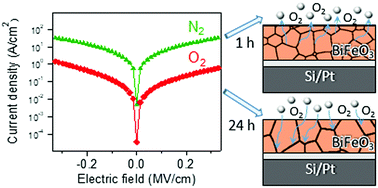 Graphical abstract: Effect of annealing conditions on the electrical properties of ALD-grown polycrystalline BiFeO3 films