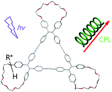 Graphical abstract: Chiroptical property of TPE triangular macrocycle crown ethers from propeller-like chirality induced by chiral acids