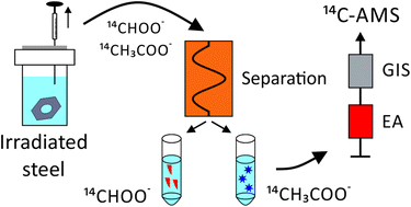 Graphical abstract: Analysis of 14C-bearing compounds released by the corrosion of irradiated steel using accelerator mass spectrometry