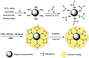Graphical abstract: Efficient synthesis of riboflavin-imprinted magnetic nanoparticles by boronate affinity-based surface imprinting for the selective recognition of riboflavin
