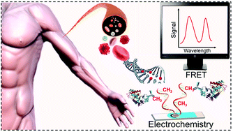 Graphical abstract: DNA methylation detection: recent developments in bisulfite free electrochemical and optical approaches