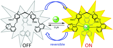Graphical abstract: A C3-substituted cyclotriveratrylene derivative with 8-quinolinyl groups as a fluorescence-enhanced probe for the sensing of Cu2+ ions