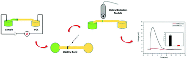 Graphical abstract: A field amplification enhanced paper-based analytical device with a robust chemiluminescence detection module