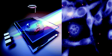 Graphical abstract: Cost-effective side-illumination darkfield nanoplasmonic marker microscopy