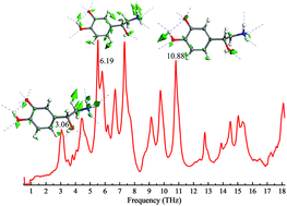 Graphical abstract: Characteristic fingerprint spectrum of neurotransmitter norepinephrine with broadband terahertz time-domain spectroscopy