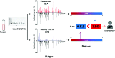 Graphical abstract: MALDI-TOF MS-based total serum protein fingerprinting for liver cancer diagnosis