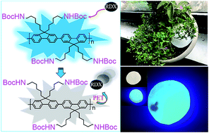 Graphical abstract: Ultrasensitive and direct fluorescence detection of RDX explosive vapor via side-chain terminal functionalization of a polyfluorene probe