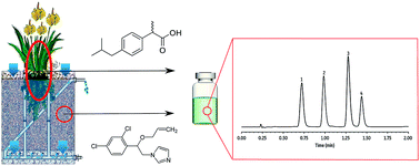 Graphical abstract: Methodologies for the analysis of pesticides and pharmaceuticals in sediments and plant tissue